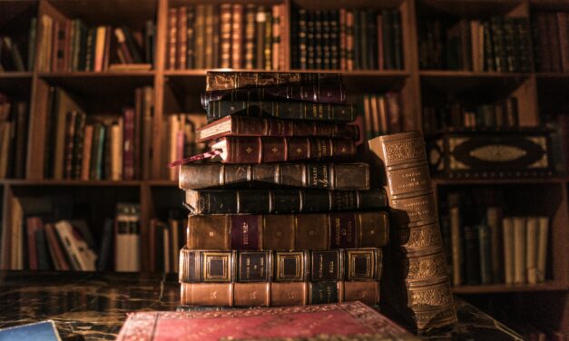 Cât valorează o explicație – Constantin Noica