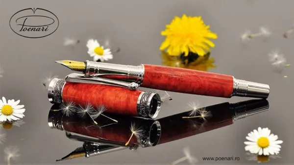 Un  meșter ce merită respect!