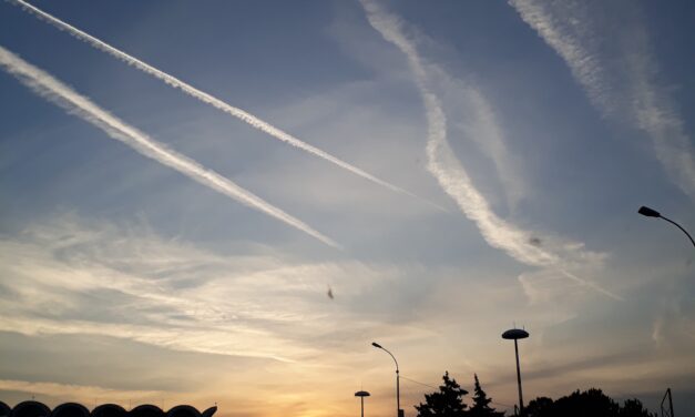 Anul ăsta m-am născut într-o duminică