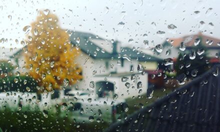 Bucătaria cu vedere spre tine