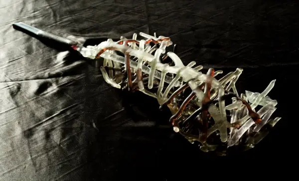 Sound of a Glass Violin, proiectul care leagă indestructibil muzica de sticlă