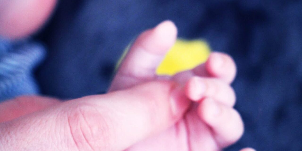 Pântecele cu iubire