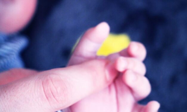 Pântecele cu iubire