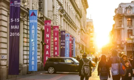 Concluzii Pavilionul de artă București Art Safari  5 – 15 mai 2016