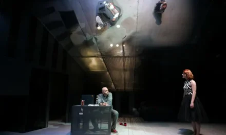 Trei spectacole ale Naționalului în selecția oficială a FNT