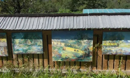 50 de copii au făcut terapie prin artă alături de mentori români și internaționali în  Tabăra de Artă și Solidaritate de la Desești