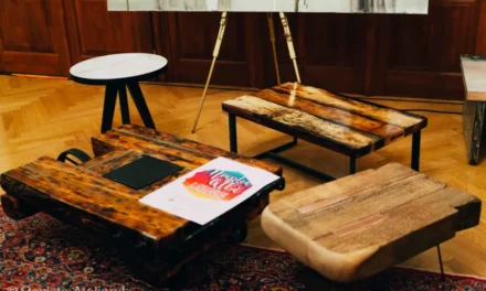 Noaptea albă a creatorilor și designerilor de produs, ediția a V-a – o expoziție alternativă de artă contemporană