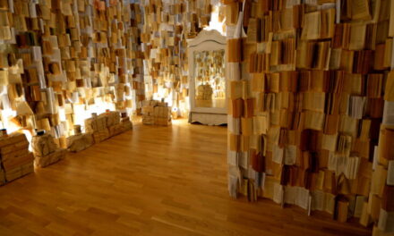 MNLR Iași: 2013 – 2017, schimbare de rang