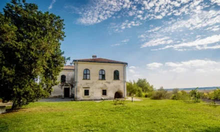 Apa trece, pietrele rămân. Palatul de piatră care ţine piept istoriei