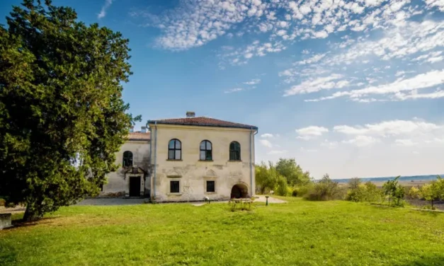 Apa trece, pietrele rămân. Palatul de piatră care ţine piept istoriei