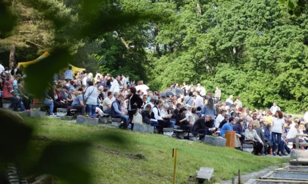Noaptea ce a făcut diferența la Muzeul Astra în anul 2017
