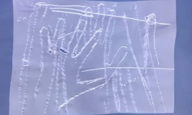 Dacă ești nevăzător nu poți desena? Nici vorbă