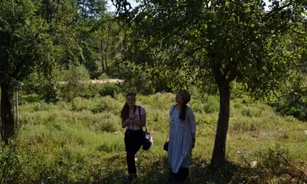 Școala de vară „Arhitectura tradițională în Geoparcul Platoul Mehedinți”, ediția a III-a, a început