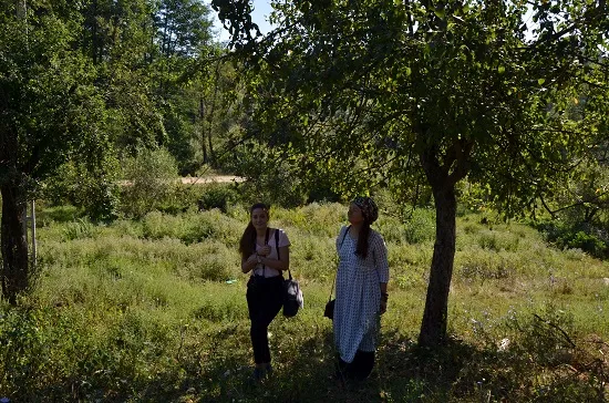 Școala de vară „Arhitectura tradițională în Geoparcul Platoul Mehedinți”, ediția a III-a, a început