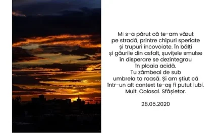 Izolat.Împreună – Expoziția cu imagini de Mihnea Ratte pe cuvinte de Ana Mănescu