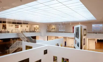 Guvernul acordă Muzeului Național de Artă Contemporană 2.000.000 lei pentru creșterea patrimoniului cultural al României