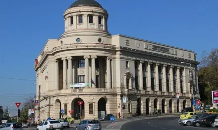 BCU Iași încheie lucrările și activitățile prevăzute în proiectul RO-CULTURA
