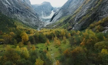 Morten Hilmer, unul dintre cei cunoscuți fotografi europeni, este invitatul special al LYNX Festival 2024