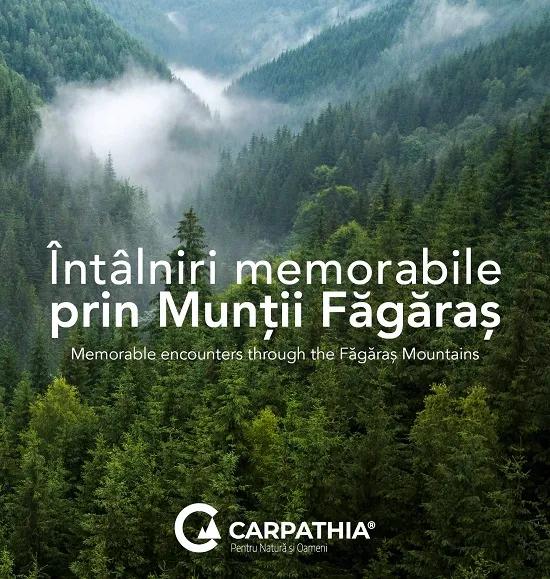 Fundația Conservation Carpathia lansează albumul „Întâlniri memorabile prin Munții Făgăraș”