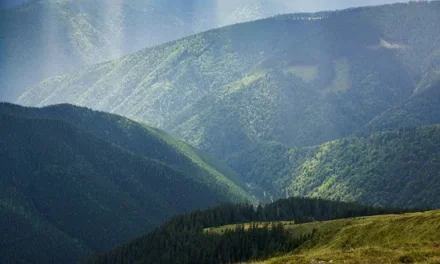 Publicația National Geographic evidențiază eforturile Fundației Conservation Carpathia pentru conservarea naturii și a comunităților din Munții Făgăraș
