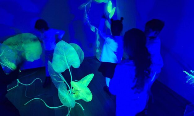 Apa ca mediu de creație și responsabilitate: ARBORESCENT.AFLUENT, un proiect despre ecosisteme, comunități și imaginație