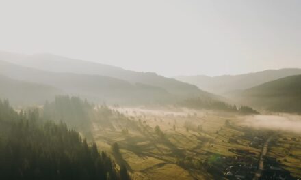 „Portret gastronomic local” ajunge în Harghita. Povestea PGL-ului „VLC” din Bilbor, satul cu cel mai curat aer din România, și un desert delicios, foarte ușor de preparat în propria bucătărie