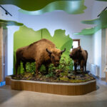 Parcul Natural Vânători Neamț, deschis pentru Școala Altfel timp de 365 de zile pe an