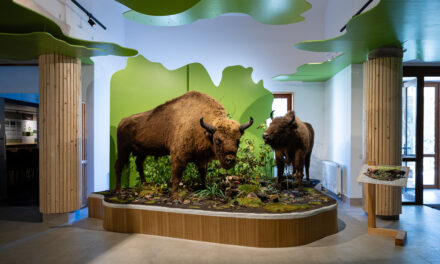 Parcul Natural Vânători Neamț, deschis pentru Școala Altfel timp de 365 de zile pe an