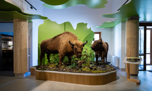 Parcul Natural Vânători Neamț, deschis pentru Școala Altfel timp de 365 de zile pe an