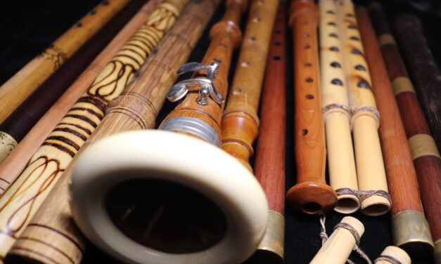 S-a lansat campania de fundraising pentru Muzeul Fluierelor Lumii: „Dă un leu pentru Muzeu – nu lăsa sunetul fluierului să se stingă!”