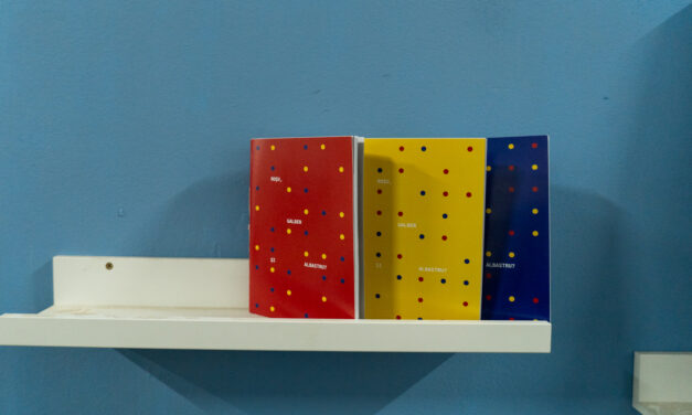 „Roșu, Galben și Albastru?”: lansarea cărții care încheie și expoziția „Rana, Golul și Angoasa”