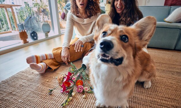 Un nou studiu realizat de Grupul LEGO®, lansat cu ocazia Valentine’s Day, arată că florile rămân cadoul cu risc minim și impact maxim