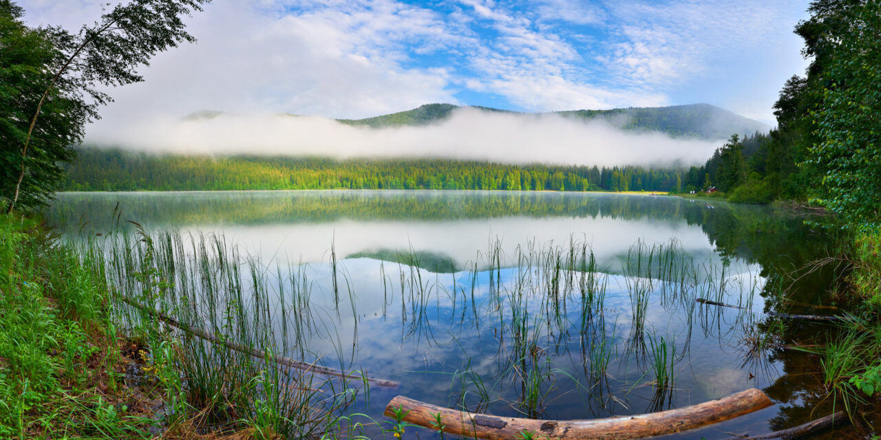 Asociația de Ecoturism din România (AER) demarează acțiuni de advocacy la Comisia Europeană pentru recunoaşterea şi sprijinul destinațiilor de ecoturism la nivelul UE