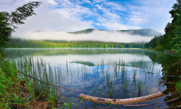 Asociația de Ecoturism din România (AER) demarează acțiuni de advocacy la Comisia Europeană pentru recunoaşterea şi sprijinul destinațiilor de ecoturism la nivelul UE