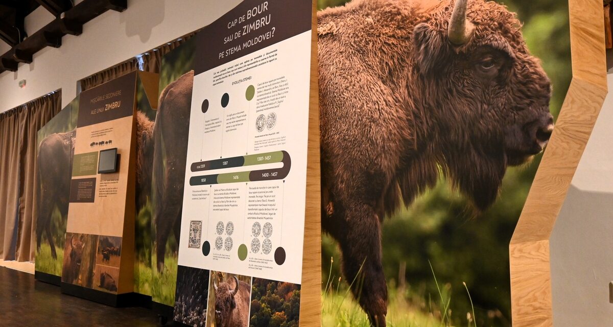 Centrul de Vizitare din Parcul Natural Vânători Neamț își dezvoltă expoziția interactivă