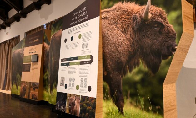 Centrul de Vizitare din Parcul Natural Vânători Neamț își dezvoltă expoziția interactivă