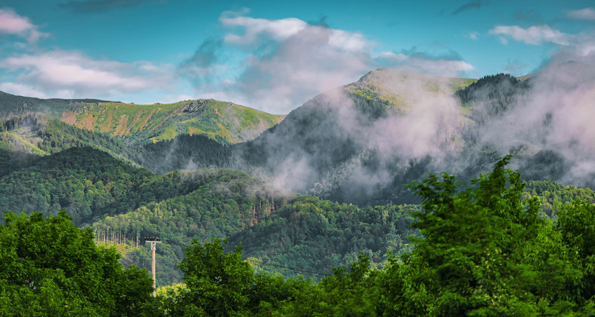 Făgăraș Fest aduce Vița de Vie, ROA, Filarmonica Sibiu și o temă pe care n-o găsești la alt festival