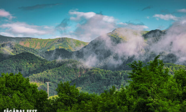 Făgăraș Fest aduce Vița de Vie, ROA, Filarmonica Sibiu și o temă pe care n-o găsești la alt festival