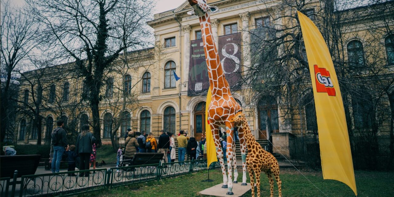 Girafa de la Muzeul Antipa și-a găsit un prieten. Parteneriatul dintre LEGO® România și Muzeul Național de Istorie Naturală „Grigore Antipa” celebrează prietenia și creativitatea