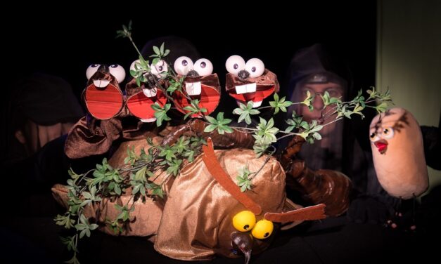 „Țup – Imposibil e doar un cuvânt” – spectacolul pentru copii creat de Centrul Independent pentru Arta Animației (CIAA) și inspirat de îndrăgita carte, pornește în turneu național