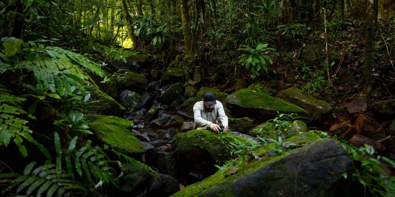 George Vlad aduce Parcul Natural Vânători Neamț pe „Spotify-ul” sunetelor din natură: România intră în premieră pe harta globală Earth FM