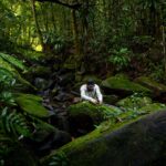 George Vlad aduce Parcul Natural Vânători Neamț pe „Spotify-ul” sunetelor din natură: România intră în premieră pe harta globală Earth FM