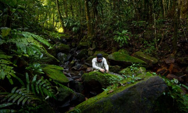 George Vlad aduce Parcul Natural Vânători Neamț pe „Spotify-ul” sunetelor din natură: România intră în premieră pe harta globală Earth FM