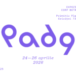 Piața de artă și design 09