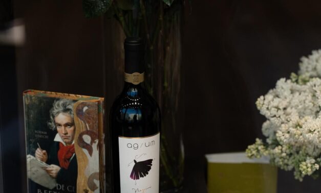 FORME: un nou spațiu dedicat designului românesc contemporan s-a deschis în centrul Bucureștiului