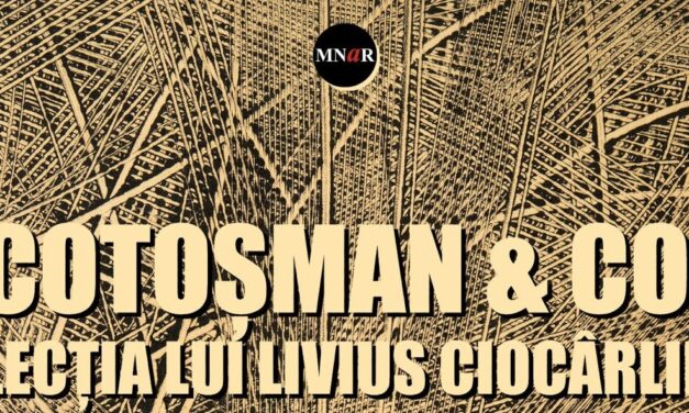 Cotoșman & co. Lecția lui Livius Ciocârlie | Muzeul Național de Artă al României