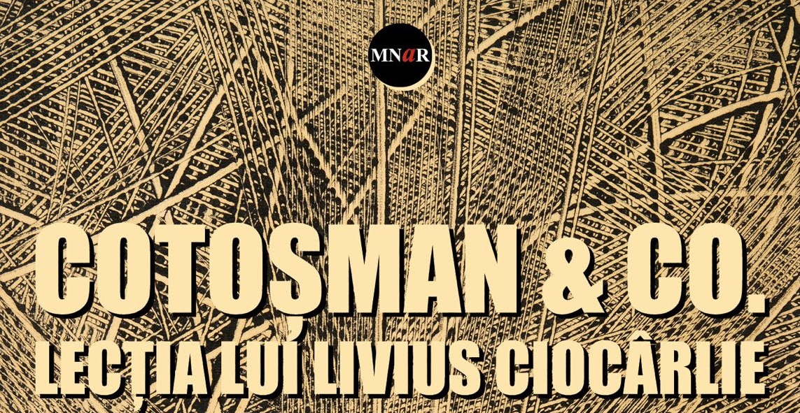 Cotoșman & co. Lecția lui Livius Ciocârlie | Muzeul Național de Artă al României
