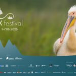 „Delta Sălbatică”, primul documentar românesc de amploare dedicat Deltei Dunării, prezentat în premieră în cadrul LYNX FESTIVAL!