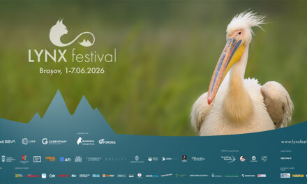 „Delta Sălbatică”, primul documentar românesc de amploare dedicat Deltei Dunării, prezentat în premieră în cadrul LYNX FESTIVAL!