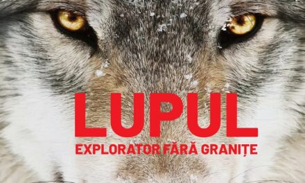 „Wolf”, documentarul multipremiat despre revenirea lupului în Europa, ajunge la Făgăraș Fest 2026